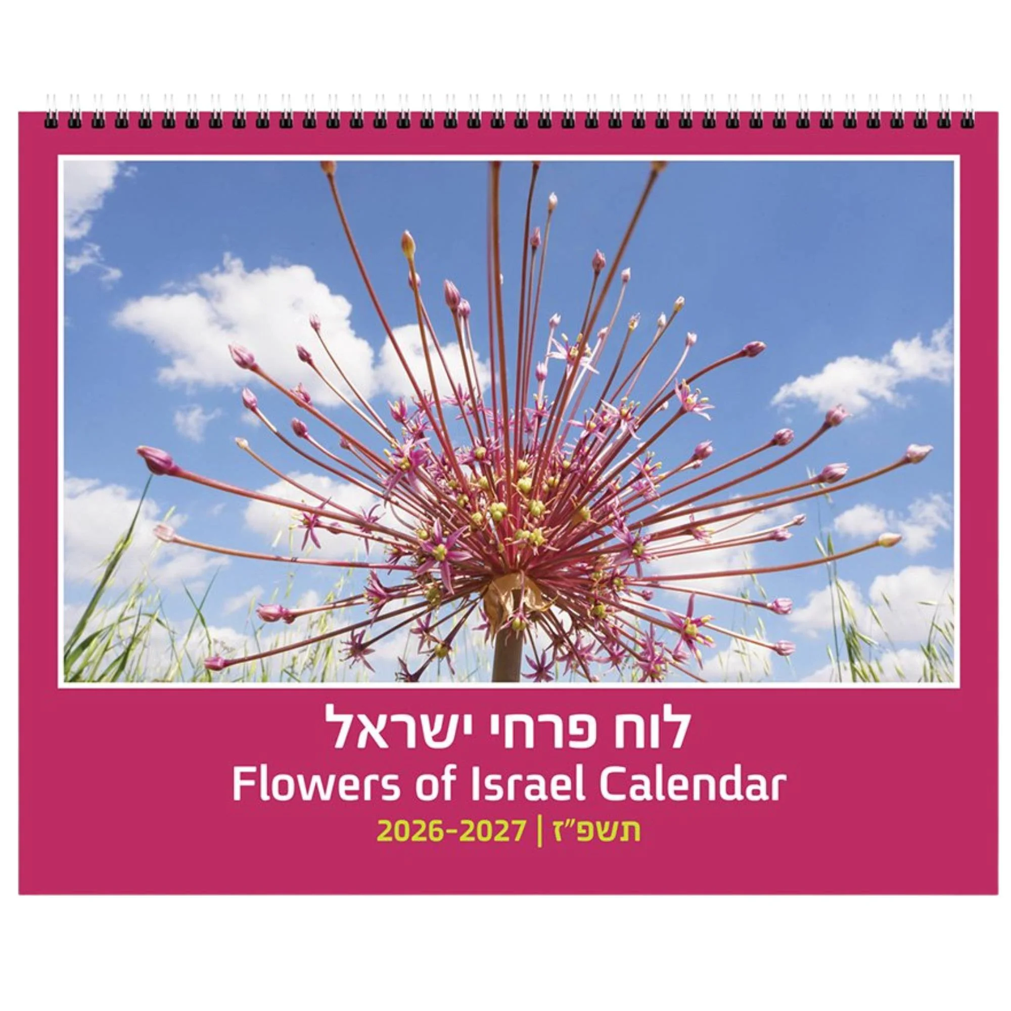 תמונת מוצר 1